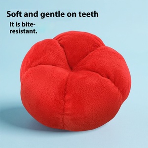 Jouet à mâcher écologique <span class=keywords><strong>pour</strong></span> <span class=keywords><strong>chien</strong></span>, nettoyage des dents molaires <span class=keywords><strong>pour</strong></span> petit <span class=keywords><strong>chien</strong></span>, jouet <span class=keywords><strong>pour</strong></span> animaux de compagnie en coton pelucheux silicone <span class=keywords><strong>pour</strong></span> <span class=keywords><strong>Amazon</strong></span>, vente en gros - Product Image 6