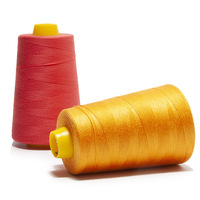 Fil de soie naturelle en soie 100g 60s/2/3 3000y/5000y/8000y, pour tricot/tissage