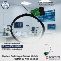 Módulo de Cámara de Endoscopia con Sensor CMOS OVM6946, 400*400 Píxeles, Precio de Fábrica, Tecnología de Chip en Punta para Imágenes en Tiempo Real