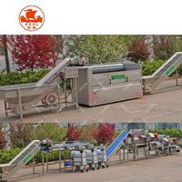Professionele Reinigingsverwerking Groenten En Fruit Bin Dumper Waslijn Groenten Met Ce Certificaat