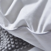 2025 Insert de couette en microfibre de haute qualité avec différentes tailles et styles de conception