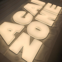 Lettres lumineuses en acrylique personnalisées, enseigne LED illuminée pour la décoration murale, la maison, les entreprises, les devantures de magasins, les mariages, les fêtes, les présentoirs extérieurs