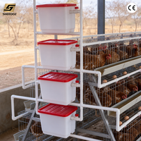 Cage à poulets pour l'élevage avicole, pour poules pondeuses, équipement résistant pour poulets de chair, poules pondeuses, 3 systèmes d'élevage de type A et élevage avicole