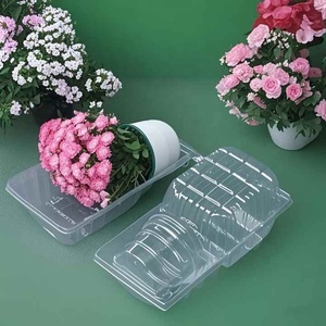 Chất Lượng Cao Nhựa Vỉ Flip-Top Bao Bì Thiết Kế Mới Khay Cho Sống Và Chậu Cây Cho Vườn Chăm Sóc Cho Trái Cây Và Ngô - Product Image 5