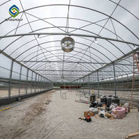 Cadre en acier galvanisé de grande serre en polycarbonate économique moderne de vente chaude pour l'agriculture maraîchère hydroponique