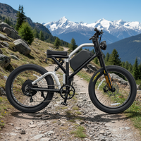 Fabricant OEM fiable, vélo électrique puissant longue portée 72v 3000w pour adultes, adapté aux terrains montagneux