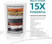 Pommeau de Douche Filtrant 15 Étapes à 5 Modes Haute Pression pour Élimination du Chlore et de l'Eau Dure – Usage Domestique – Offre Spéciale