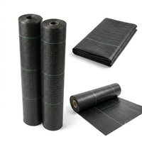 Toile de paillage tissée en PP robuste 70 g/m² résistante aux UV pour l'aménagement paysager et la protection des terres agricoles