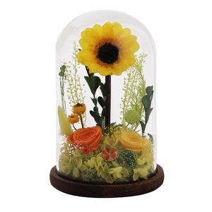 Girasol Preservado Hecho a Mano, <span class=keywords><strong>Serie</strong></span> Eterna de Lujo, Duradero de 3 a 5 Años, Cúpula de Hierba Eterna, Regalo para el Día de San Valentín - Product Image 2