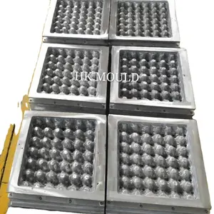 Russia Recycle waste paper aluminum quail /duck/egg box mould in China