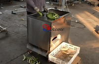 Prix de la machine à peler les bananes vertes de haute qualité