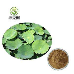 Nhà Máy bán hàng trực tiếp nuciferine sen xanh chiết xuất trong kho lá sen chiết xuất - Product Image 1