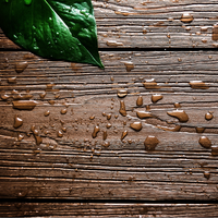 Plancher de terrasse en bois composite Co-Extrusion WPC Planches de terrasse en bois composite avec 15 ans de garantie XF-G002 de panneaux de terrasse composite