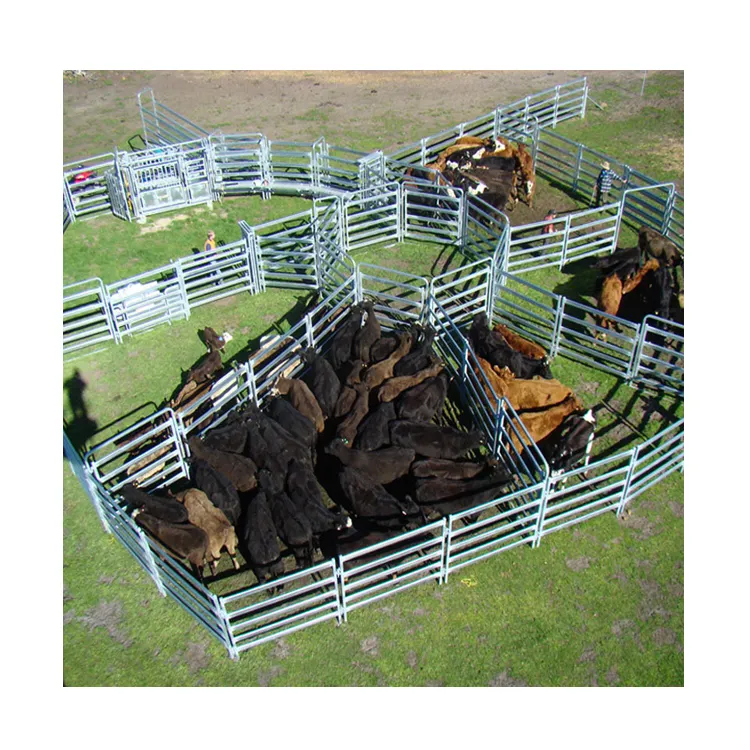 핫 세일 아연 도금 금속 소 가축 가축 농장 마당 소 야드 패널 무거운 의무 가축 야드