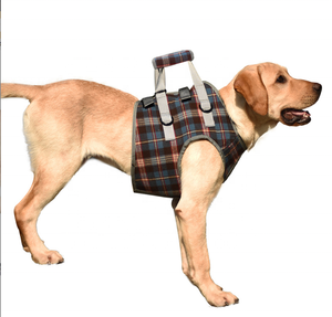 สายรัดพยุงสุนัขระบายอากาศปรับได้,สำหรับขาหน้าและขาหลังสัตว์เลี้ยงฟื้นฟูสมรรถภาพยกเสื้อกั๊กสลิงสุนัขชุด - Product Image 6