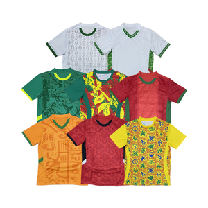 Divisa da Calcio della Coppa d'Africa 24 25, Versione Fan 100% Poliestere, Asciugatura Rapida, Trasferimento Termico, Uniforme da Calcio Aleetu per Uomo - Product Image 1