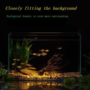 Jihong Custom ized 5mm transparentes Acryl Bio-Glas Desktop Umweltschutz <span class=keywords><strong>Aquarium</strong></span> <span class=keywords><strong>Aquarium</strong></span> Explosions geschützt - Product Image 3