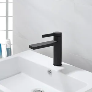 Dessus de table noir brossé 304 robinet d'évier de salle de bain robinet de vanité