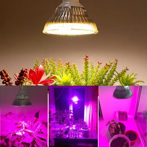 Linh hoạt <span class=keywords><strong>4m</strong></span> cáp quang phổ đầy đủ 50 wát LED phát triển ánh sáng bóng đèn cho tùy chỉnh nhà máy sắp xếp & trong nhà vườn - Product Image 5