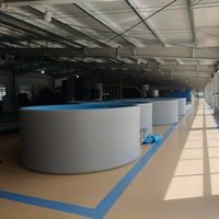 OEM Großhandel Sommer Großer Hochwertiger Tragbarer Wasserschwimmpool, Aufblasbarer PVC-Swimmingpool mit Eigenem Logo