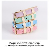 Collier pour chien en cuir uni personnalisé - Collier pour animal de compagnie durable, réglable, tactique, imperméable, style Instagram, toutes saisons