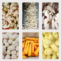 Industriële was- en schilmachine voor zoete aardappelen, taro en andere gewassen.