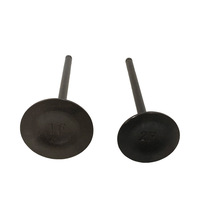 Soupape de moteur de moto en gros, soupape d'admission et d'échappement de moteur de moto adaptée aux modèles Hunk190, Xpulse200, 200t, M04050001, ECO150