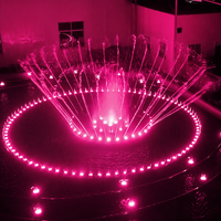 Fontaine musicale d'extérieur pour hôtels et jardins, équipement décoratif personnalisé, best-seller du fabricant