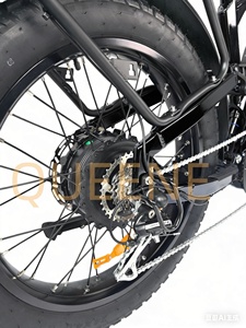 Bicicleta Eléctrica Todoterreno de 48V 72V de Alta Velocidad con Cuadro Bajo, Suspensión Completa y Doble Batería de Litio - Product Image 1