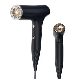 Professional Professional Super Ionic Travel Electric Salon Hairdryer Blow High Speed Hair Dryer