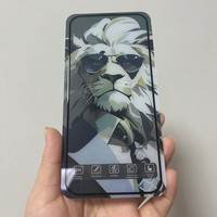 Protection d'écran en verre trempé Five-Star Sunglasses Lion 9H pour iPhone 15 Pro et Infinix Smart 8, anti-statique