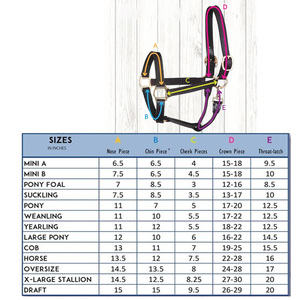 Cabestro de Cuero de Lujo para Caballo, Ajustable, de Doble Hebilla, Resistente, Personalizado al por Mayor - Product Image 6