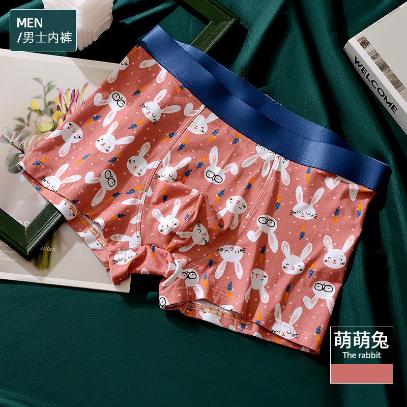 Mengmeng rabbit-male