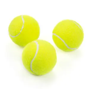 पालतू कुत्तों के लिए काटने खिलौना 24CM विशाल टेनिस गेंद खिलौना चबाना Inflatable टेनिस गेंद हस्ताक्षर मेगा जंबो पालतू खिलौना गेंद आपूर्ति D2.5
