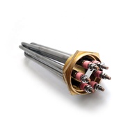 Élément chauffant tubulaire 110V 220V 380V DN42 DN50 en acier inoxydable pour générateur de vapeur