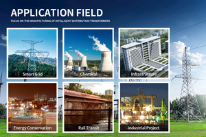 <span class=keywords><strong>10KV</strong></span> 11kv 400KV 50-3150kva ba giai đoạn phân phối dầu đắm mình biến áp S11 mô hình - Product Image 6