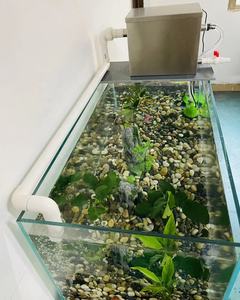 Sistema de Filtración para Estanques de Peces <span class=keywords><strong>Koi</strong></span> de 1000 l/h, Filtro Biológico para Acuarios, Cría de Peces <span class=keywords><strong>Guppy</strong></span> - Product Image 5