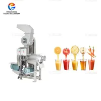 औद्योगिक पेंच प्रकार Juicer के फल juicer के चिमटा मशीन गाजर सेब का रस बनाने की मशीन