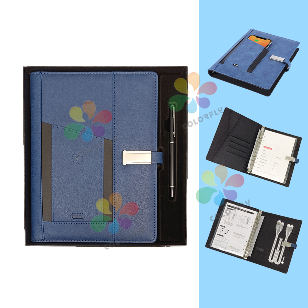 electronic diary
