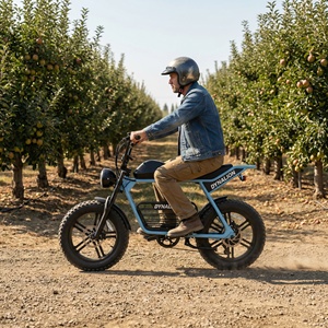 <span class=keywords><strong>Vélo</strong></span> <span class=keywords><strong>électrique</strong></span> tout-terrain robuste de style Scrambler avec freins à disque hydrauliques, idéal pour l'entretien des vergers et les allées - Product Image 3