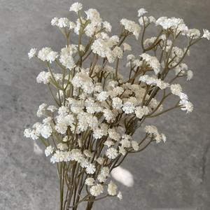 Bouquet De Roses Champagne Ivoire Avec Gypsophile – Fleurs Naturelles – Beau