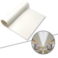 Structures de toiture à membrane tendue en PTFE imperméables pour terrains de football, de tennis et autres terrains de sport, pour toitures de stades extérieurs