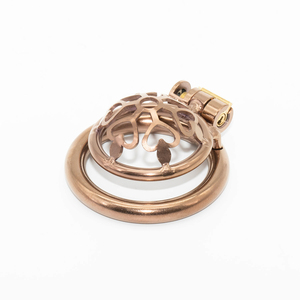 Jaula <span class=keywords><strong>para</strong></span> pene pequeña <span class=keywords><strong>de</strong></span> acero inoxidable, Dispositivo <span class=keywords><strong>de</strong></span> Castidad <span class=keywords><strong>para</strong></span> hombre, bloqueo <span class=keywords><strong>de</strong></span> pene, dispositivo <span class=keywords><strong>de</strong></span> abstinencia <span class=keywords><strong>para</strong></span> la parte inferior del cuerpo, Juguetes sexuales <span class=keywords><strong>para</strong></span> hombres - Product Image 3