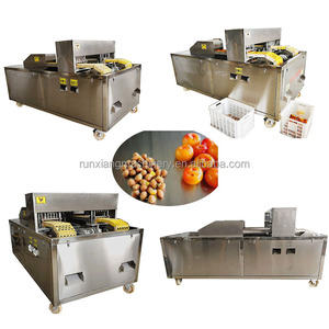 Machine à dénoyauter les cerises de 500kg Éplucheur de litchi et dénoyauteur de pomme Stoner Machine à éplucher les graines et à découper - Product Image 4