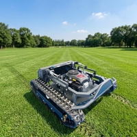 Promotion CE EPA Robot Tondeuse à chenilles télécommandé sans fil à essence pour jardin et agriculture tout-terrain
