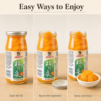 Logo OEM HALAL Minuman Jeruk Pekat Jus Jeruk Manis Buah Kaleng