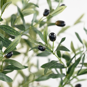 Arbre <span class=keywords><strong>d</strong></span>'<span class=keywords><strong>olivier</strong></span> artificiel dense <span class=keywords><strong>d</strong></span>étachable de 210 cm - Plante artificielle en pot avec fruits noirs pour la <span class=keywords><strong>d</strong></span>écoration de la maison, du bureau et du salon - Product Image 3