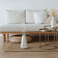Diffuseurs d'arômes sans eau, diffuseur de parfum pour la maison, diffuseur de senteurs, diffuseur d'huiles essentielles, nébuliseur