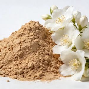 Doğal Bitkisel Ekstrakt 10:1 İsatis Kökü Ekstraktı Çin Bitkisel Özlü <span class=keywords><strong>Radix</strong></span> <span class=keywords><strong>Isatidis</strong></span> Kök Tozu İndigowood Kök Ekstraktı - Product Image 5