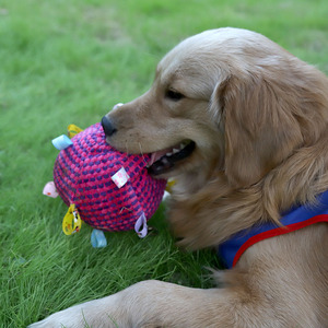 New Style Hot Sells Soft Stuffed Puppy Plush <b>Ball</b> Interactive <b>Dog</b> Squeaky <b>Ball</b> Toy with Tags - Product Image 5